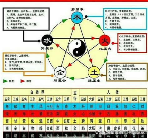 金土人|金木水火土命查询表